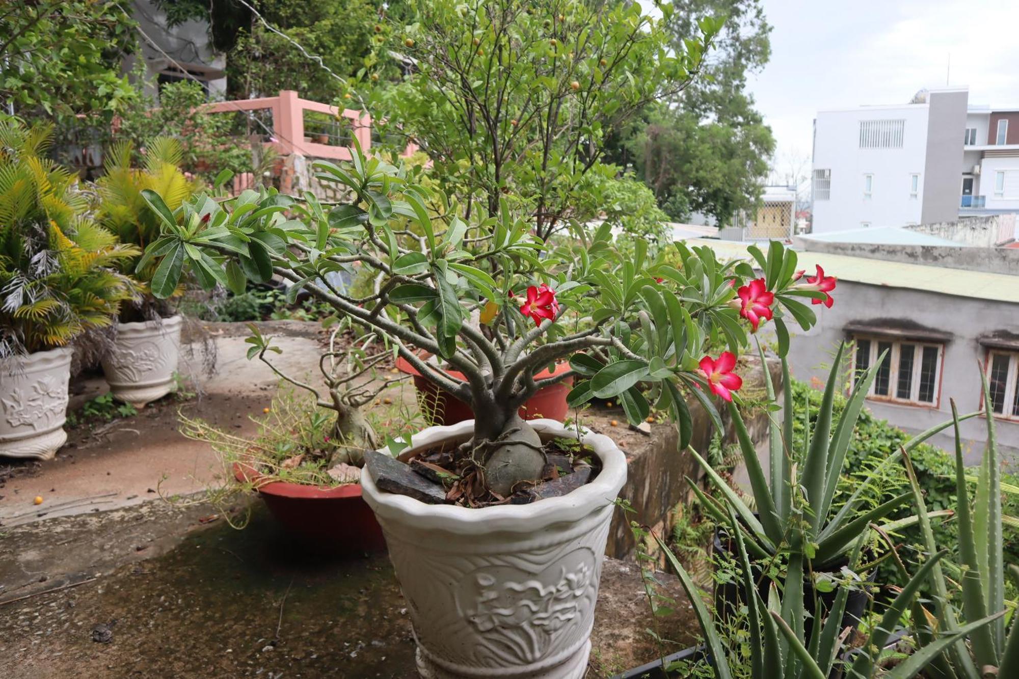 Cassabella Hotel & Apartments Vung Tau Eksteriør bilde