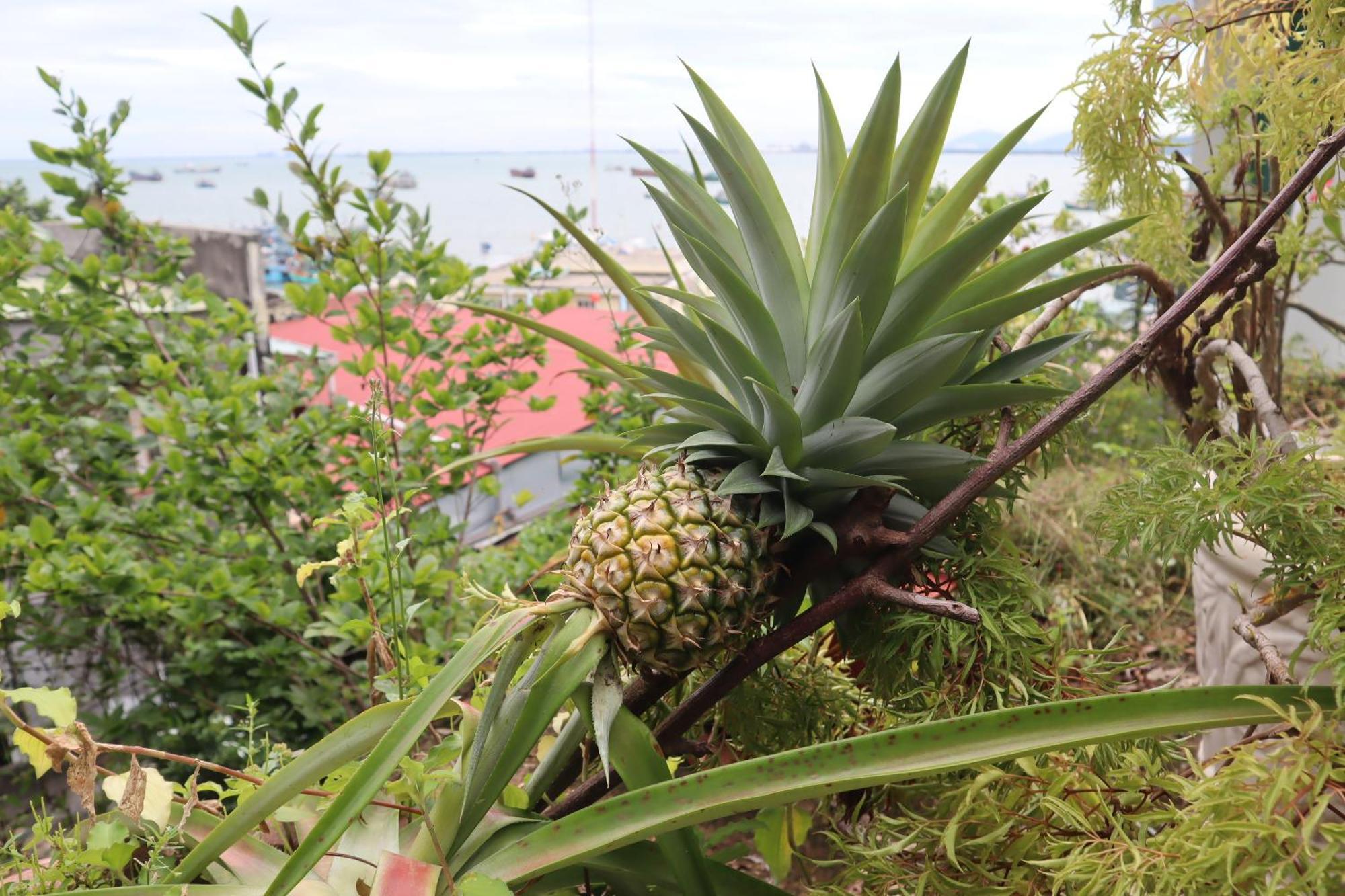 Cassabella Hotel & Apartments Vung Tau Eksteriør bilde